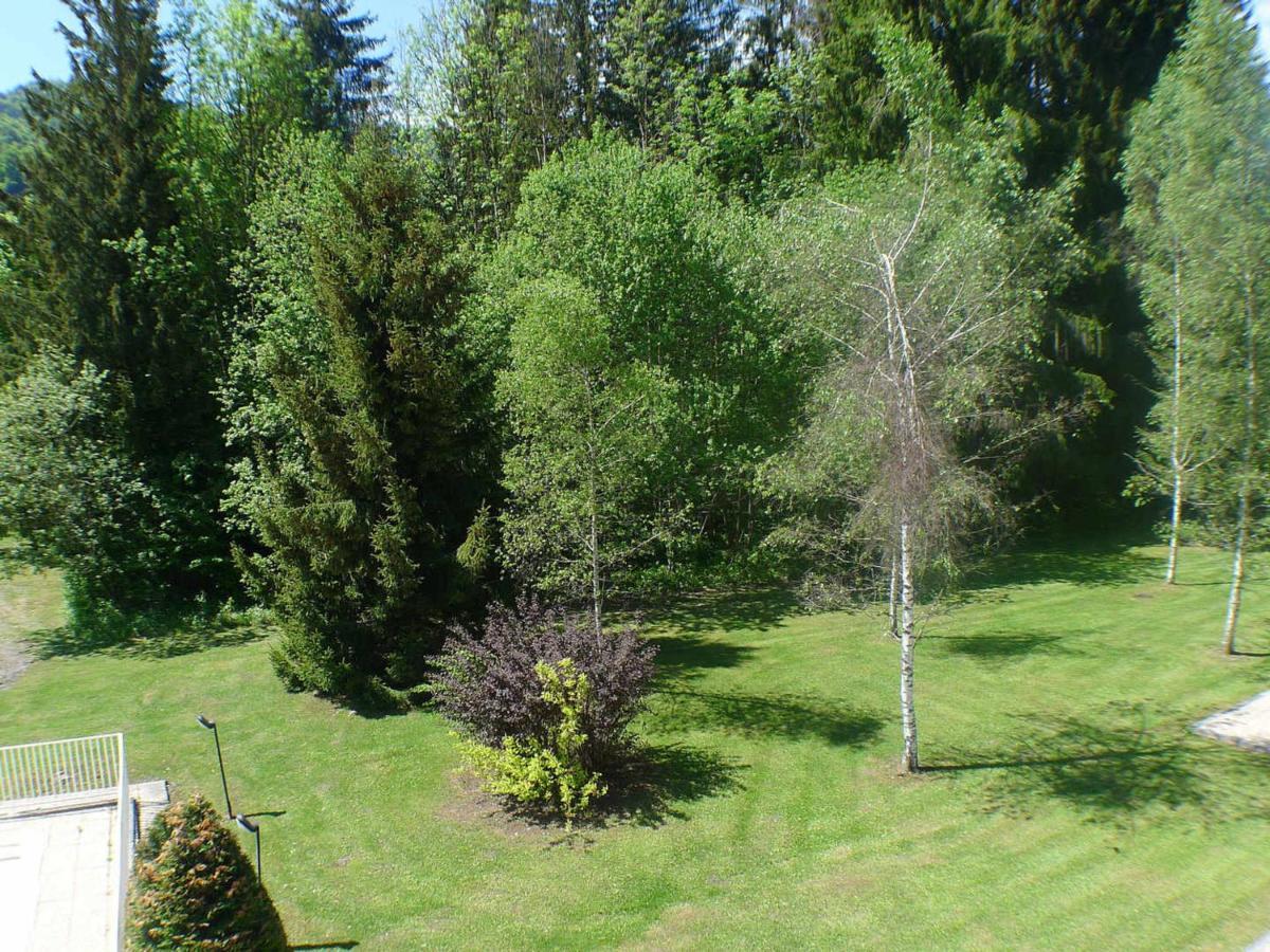 Studio Mansarde Avec Balcon, Piscine Et Parking Souterrain A Samoens - Fr-1-629-92 Samoëns Exterior foto